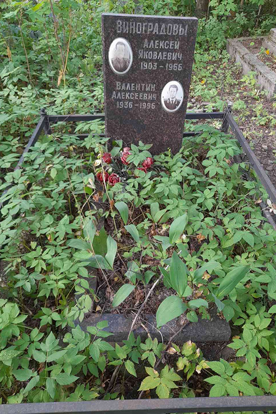 Виноградов Алексей Яковлевич