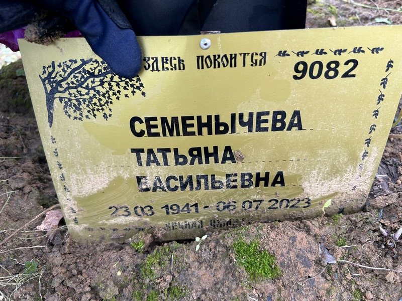 Семенычева
