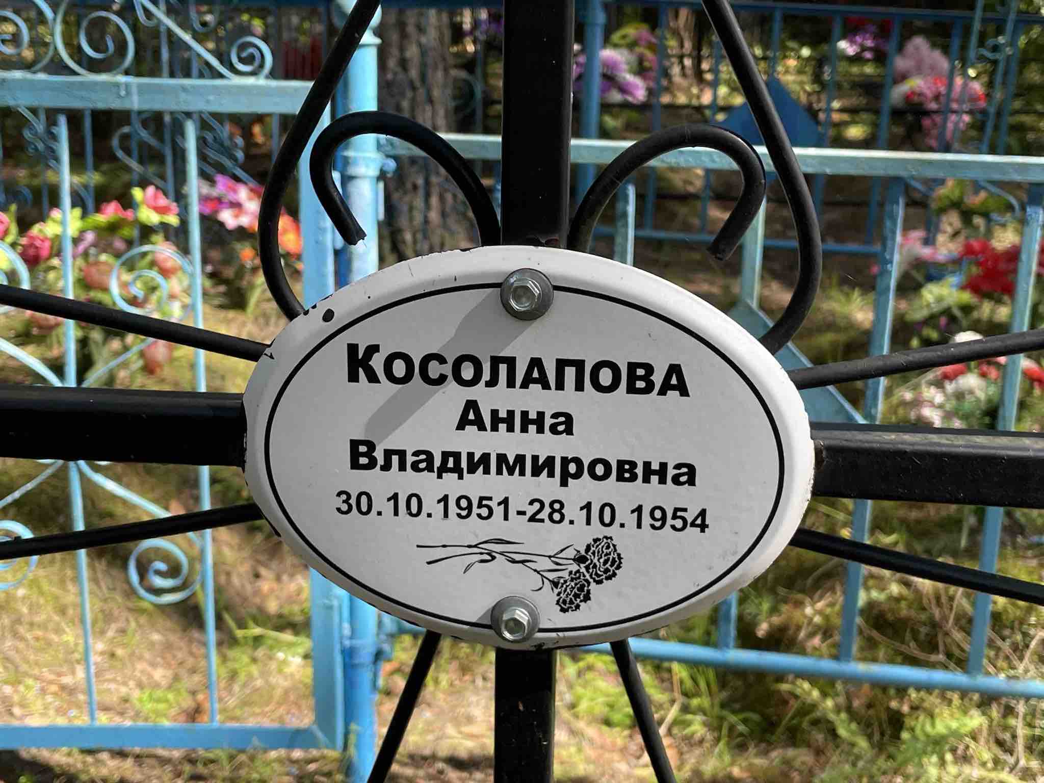 Косолапова Анна Владимировна