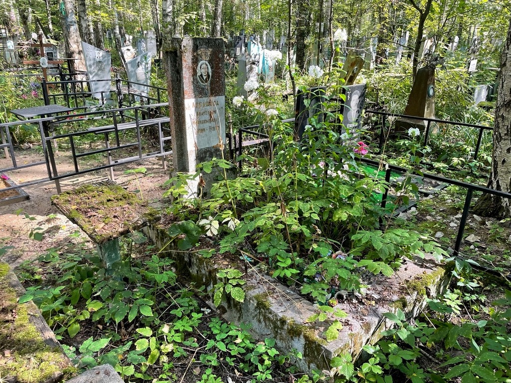 Лобашова Анастасия Максимовна