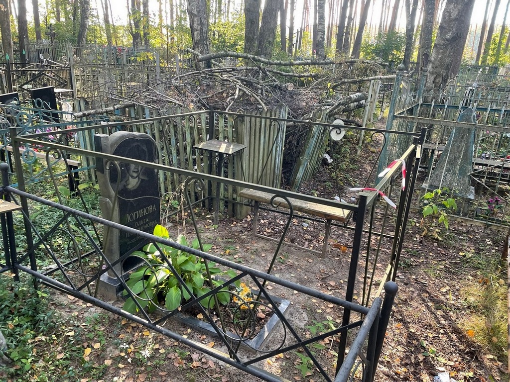 Логинова Ольга Илларионовна