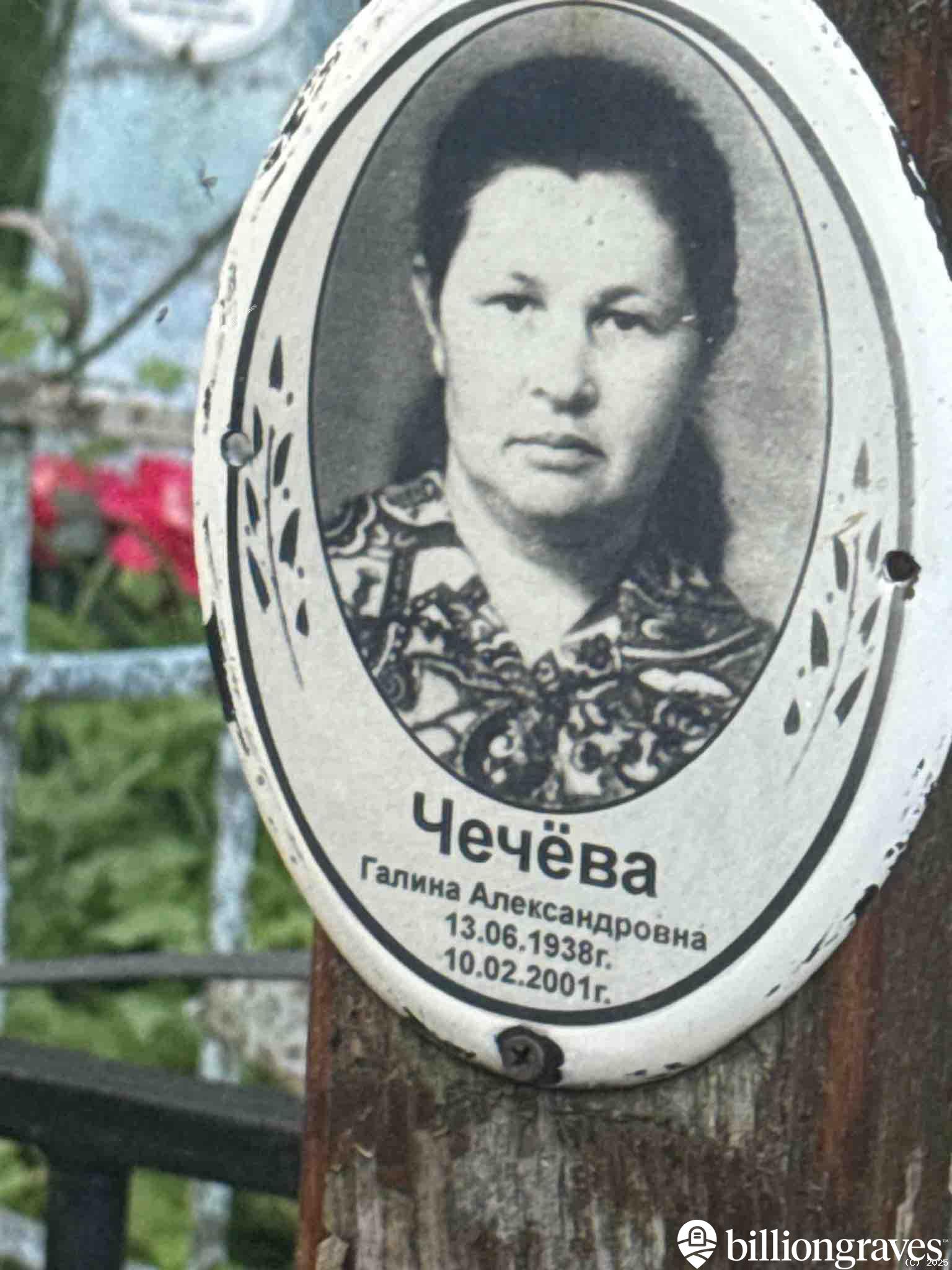 Чечёва Галина Александровна