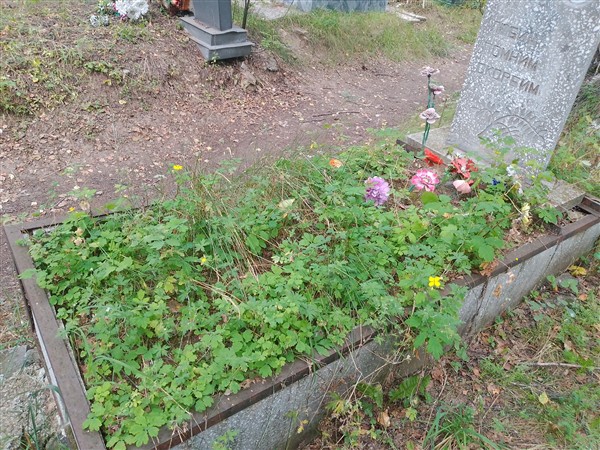 Паньшина Лидия Павловна