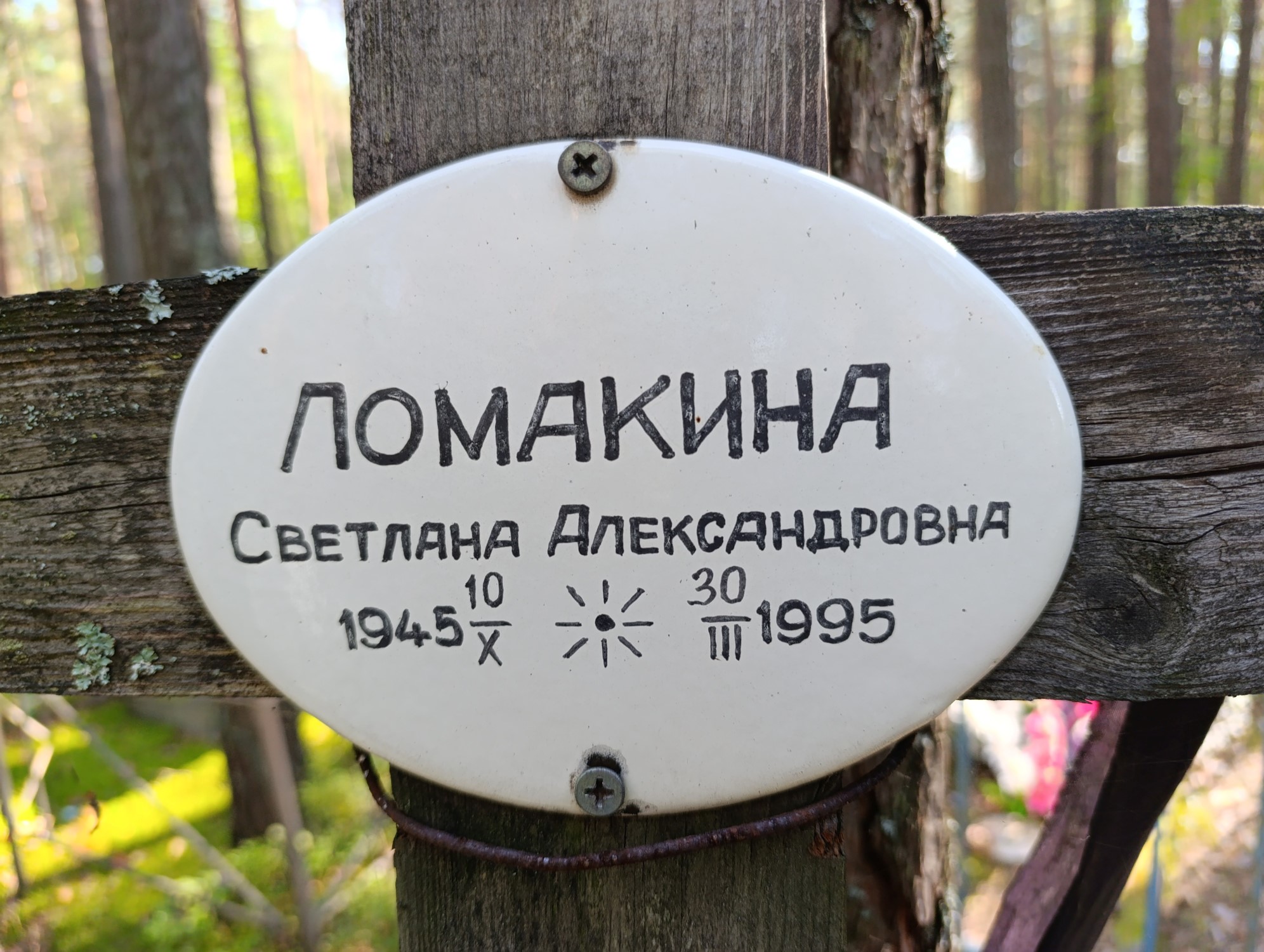 Ломакина Светлана Александровна