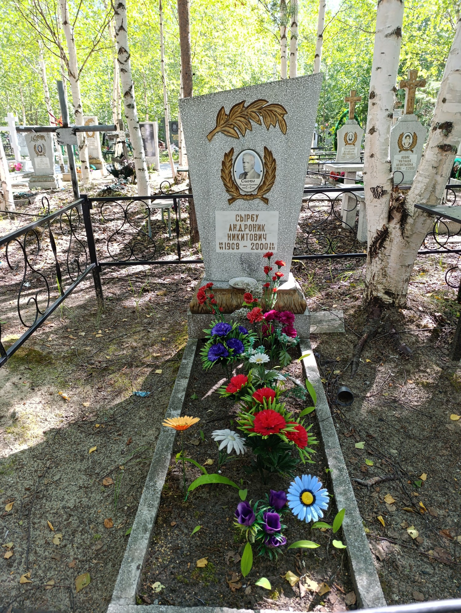 Сырбу Андроник Никитович