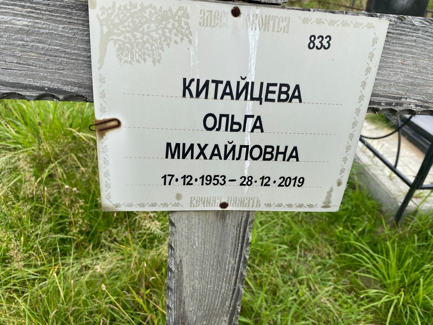 Китайцева