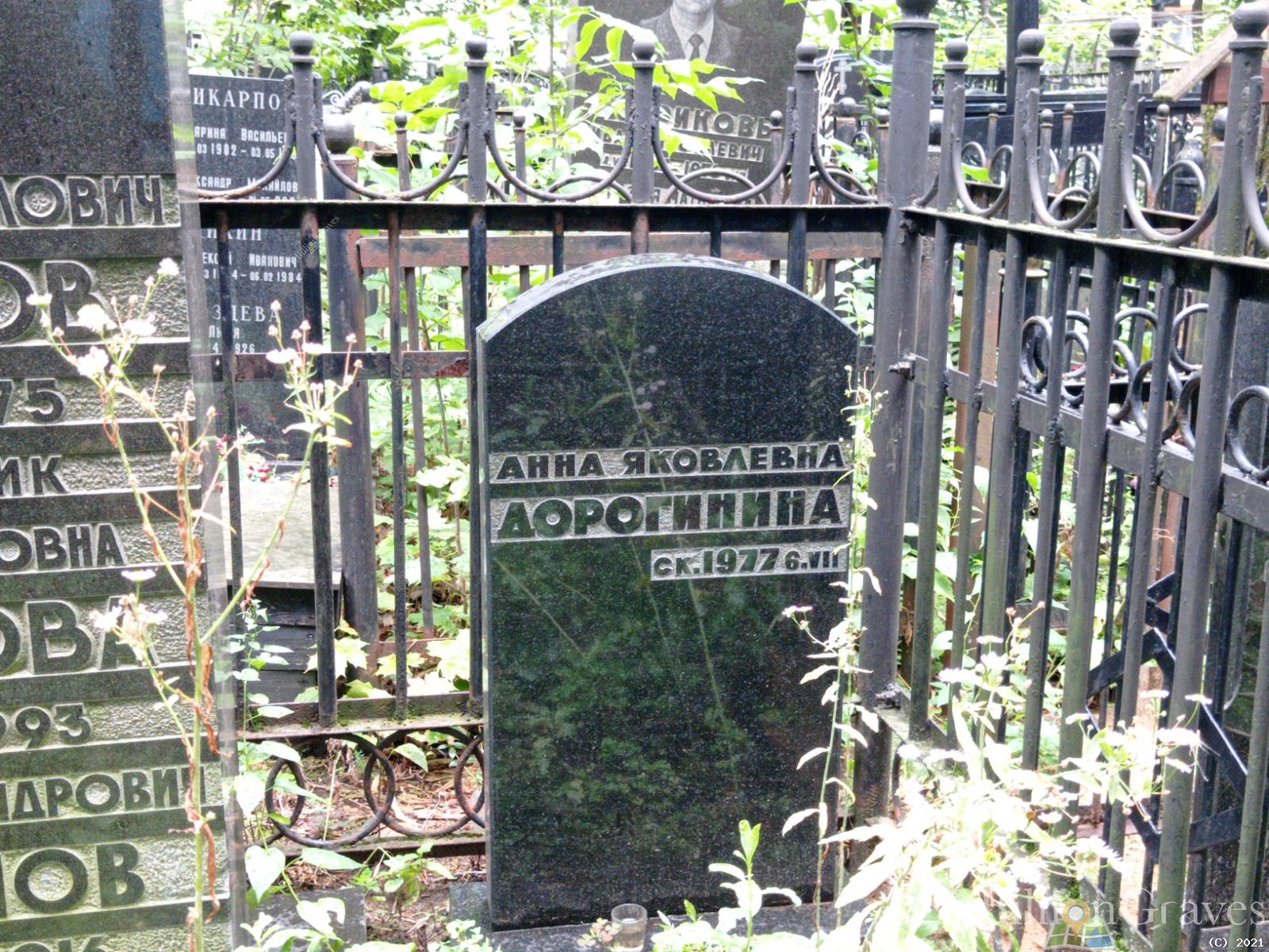 Дорогинина Анна Яковлевна