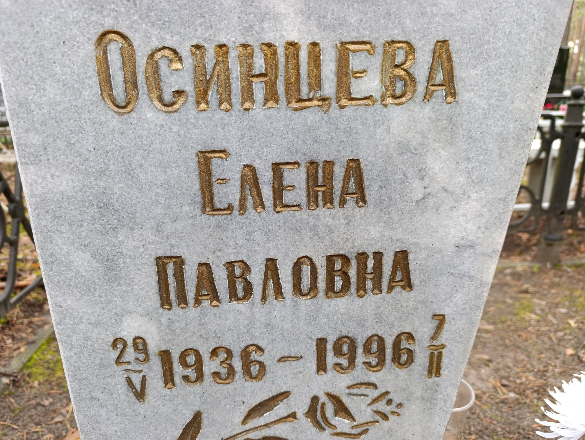 Осинцева Елена Павловна