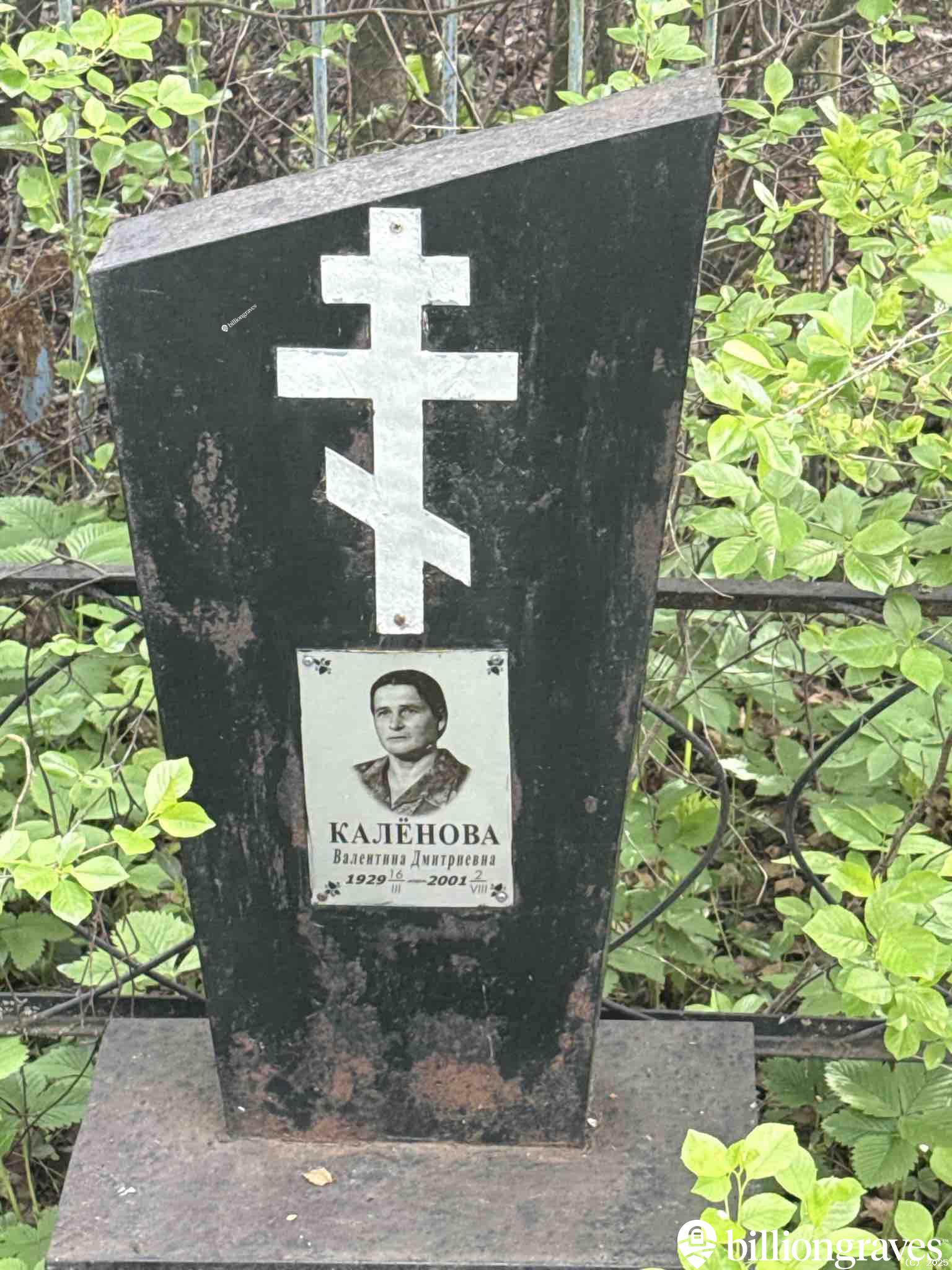 Каленова Валентина Дмитриевна