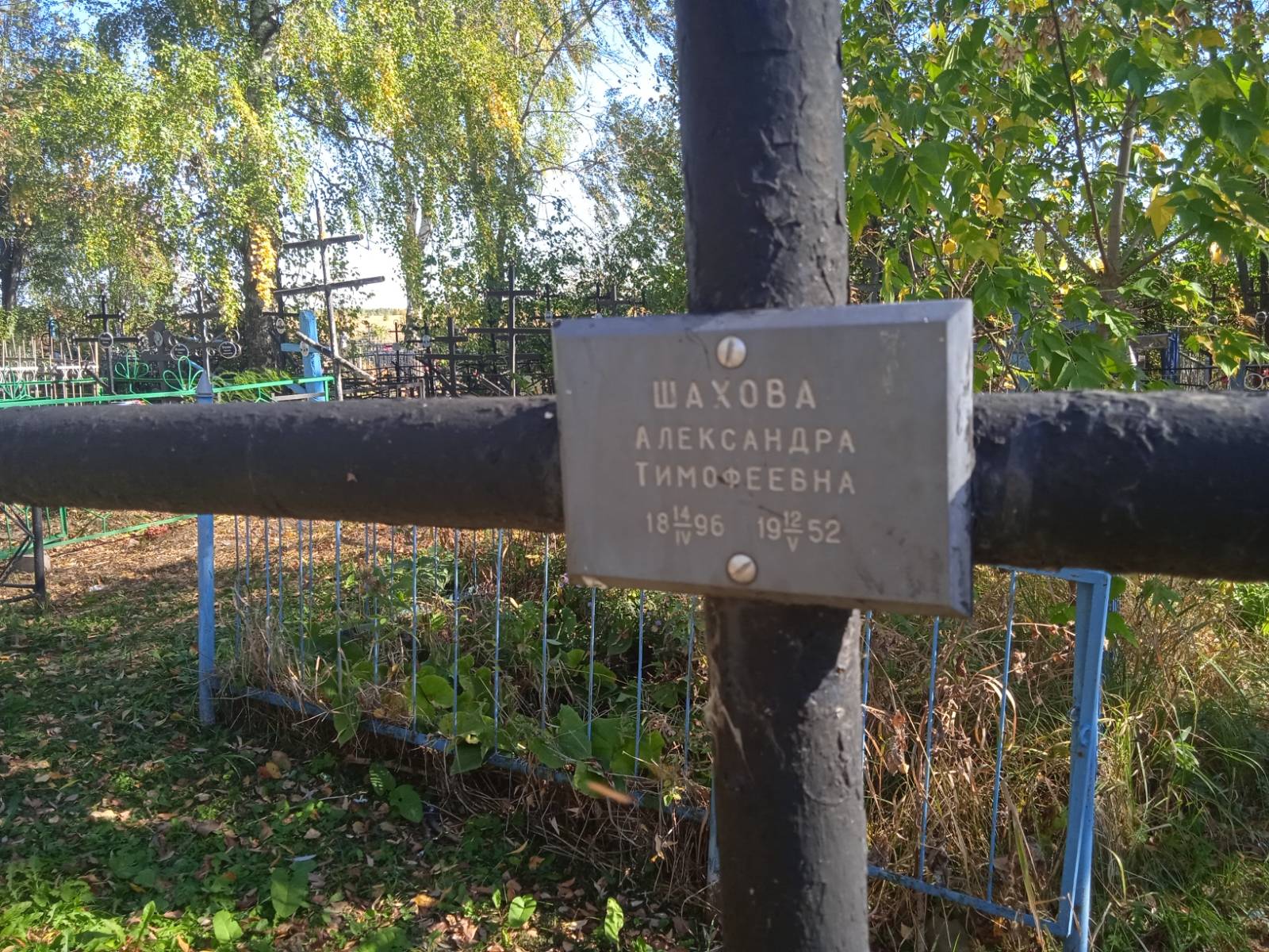 Шахова Александра Тимофеевна