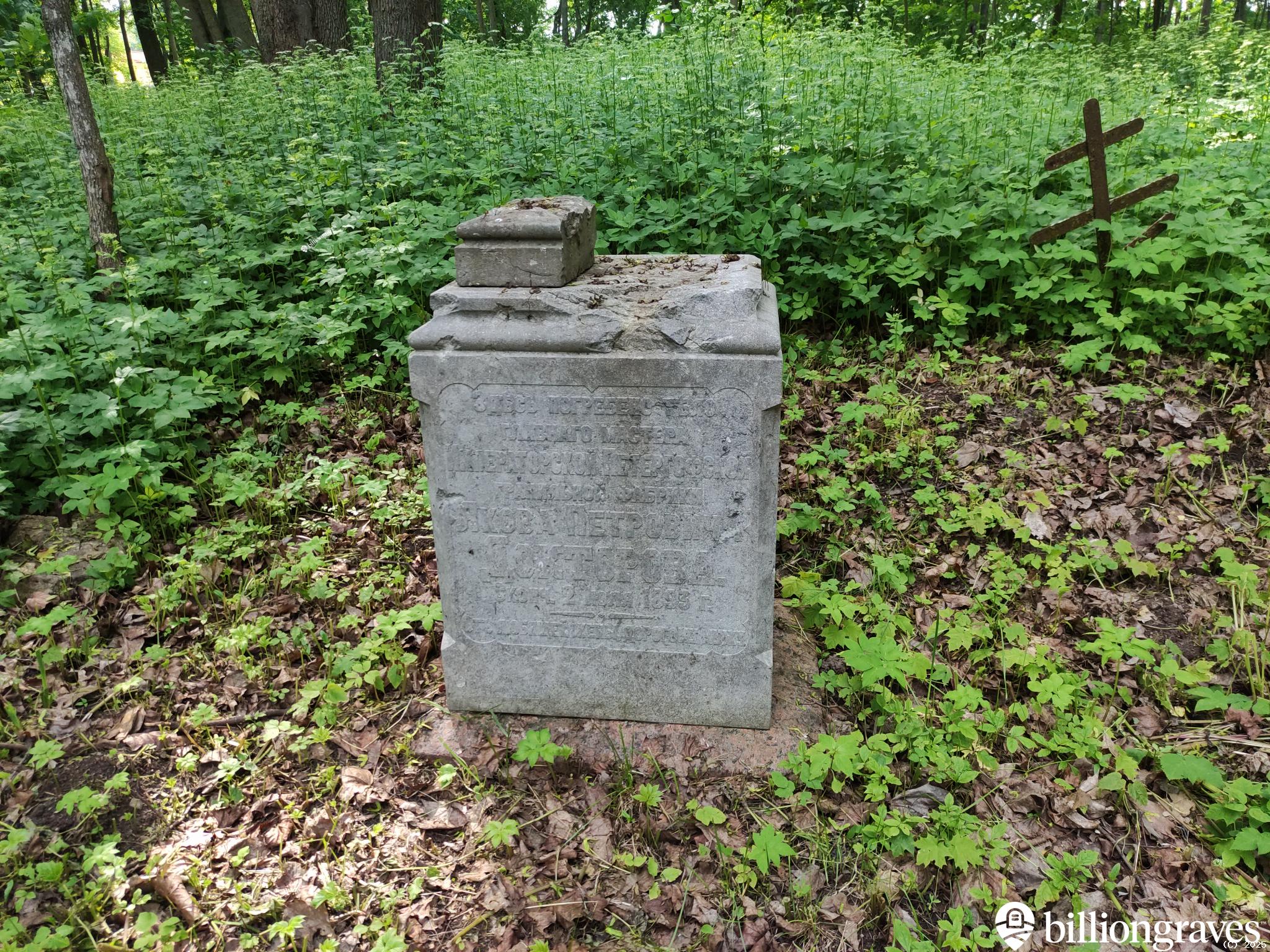 Докторов Яков Петрович