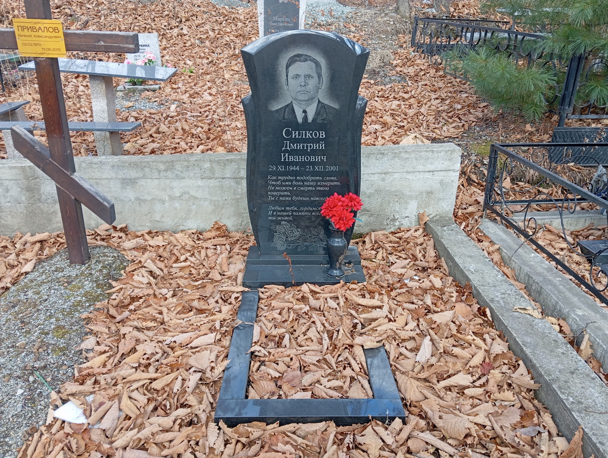 Силков Дмитрий Иванович