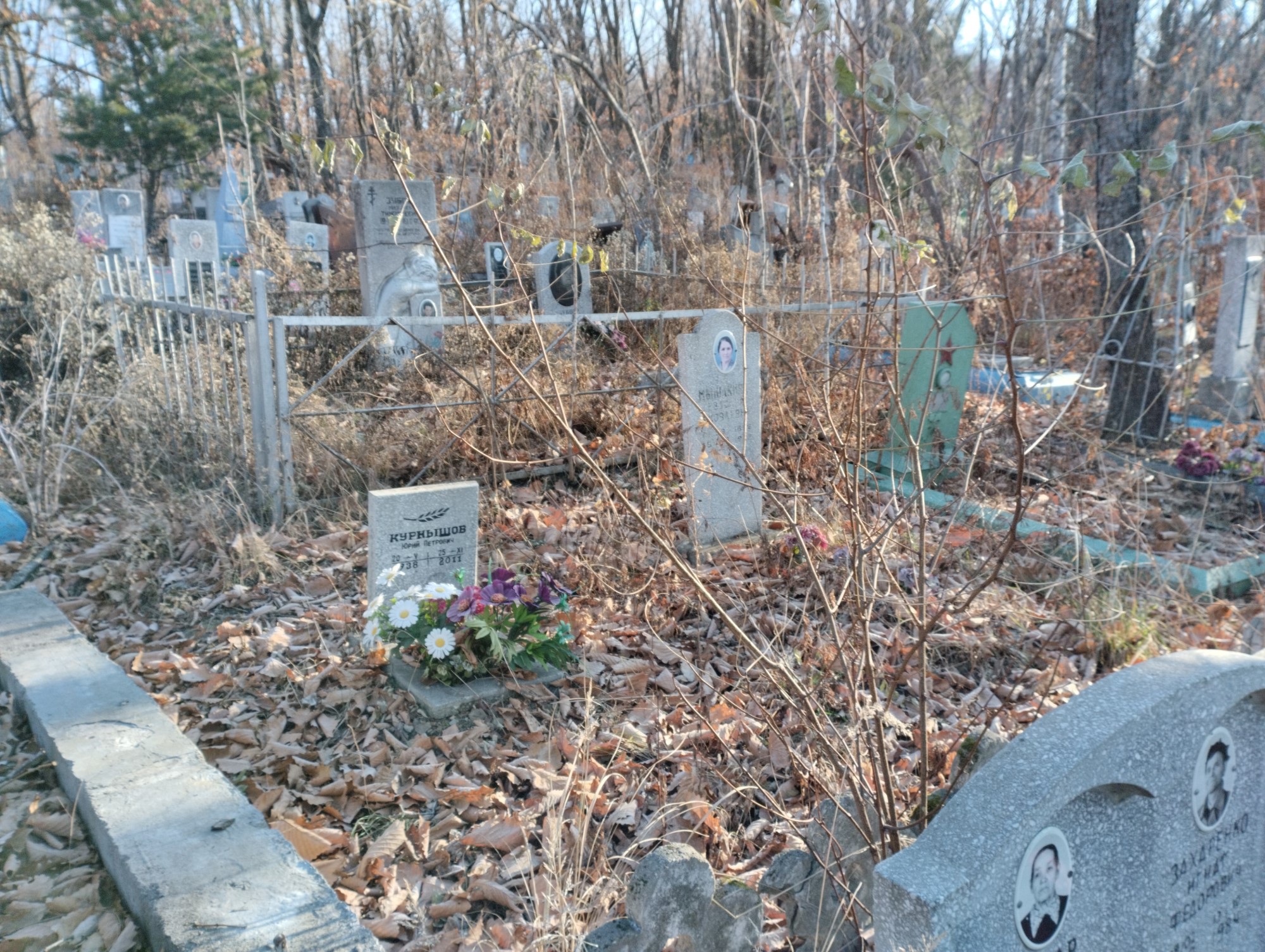 Курнышов Юрий Петрович