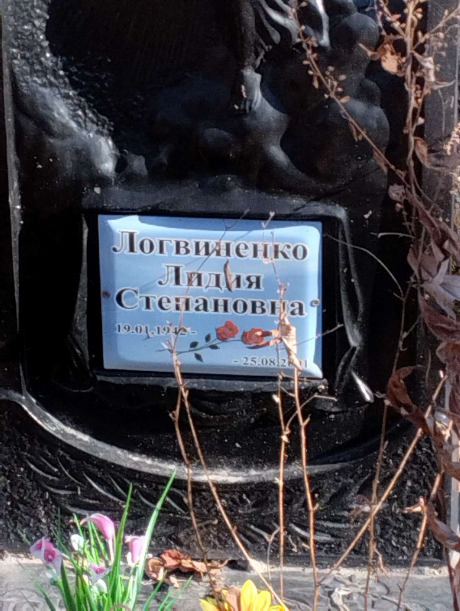 Логвиненко Лидия Степановна