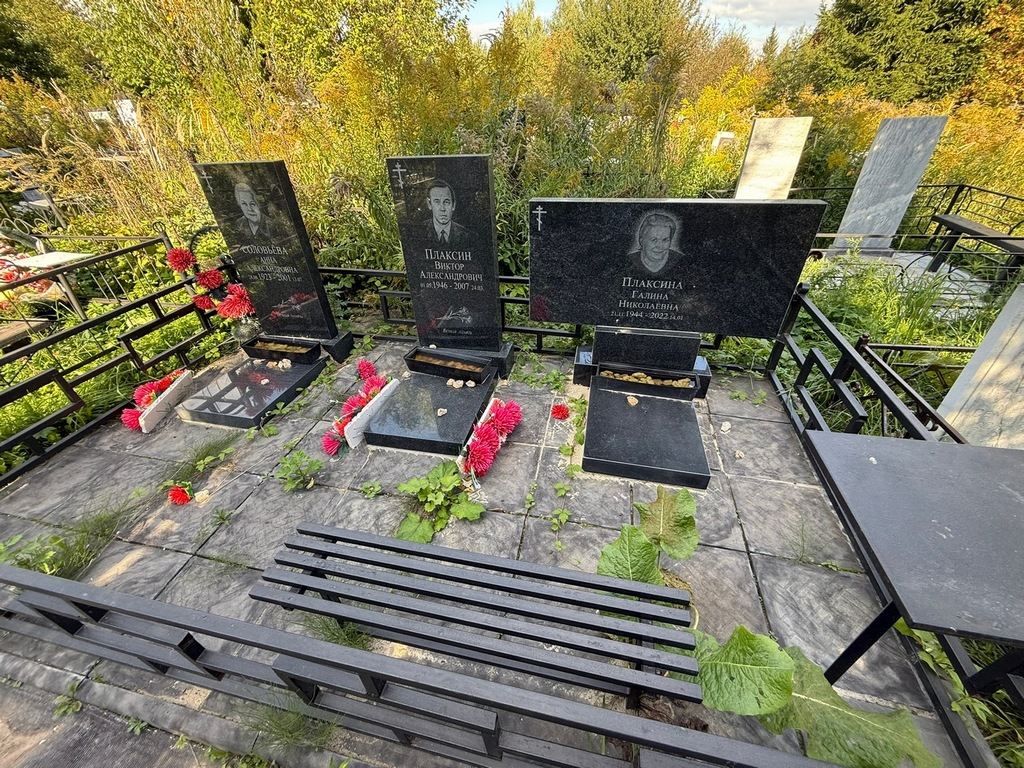 Плаксин Виктор Александрович