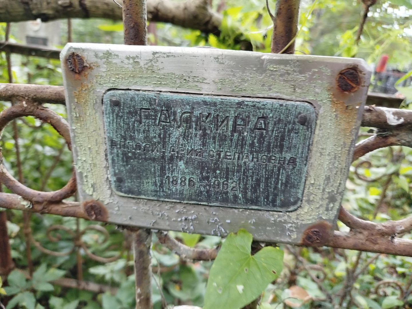 Апполинария Галкина Степановна