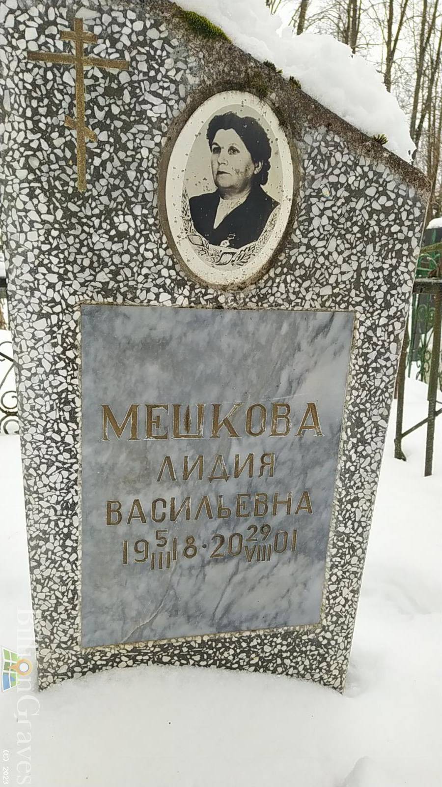 Мешкова Лидия Васильевна