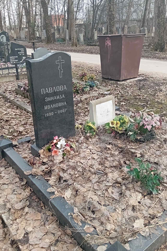 Павлов Владимир Михайлович