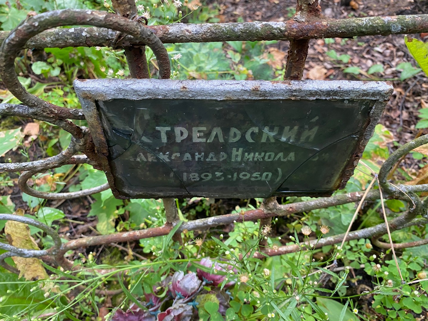 Стрельский