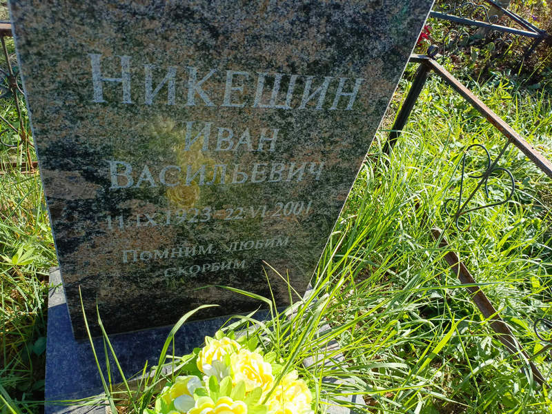 Никешин