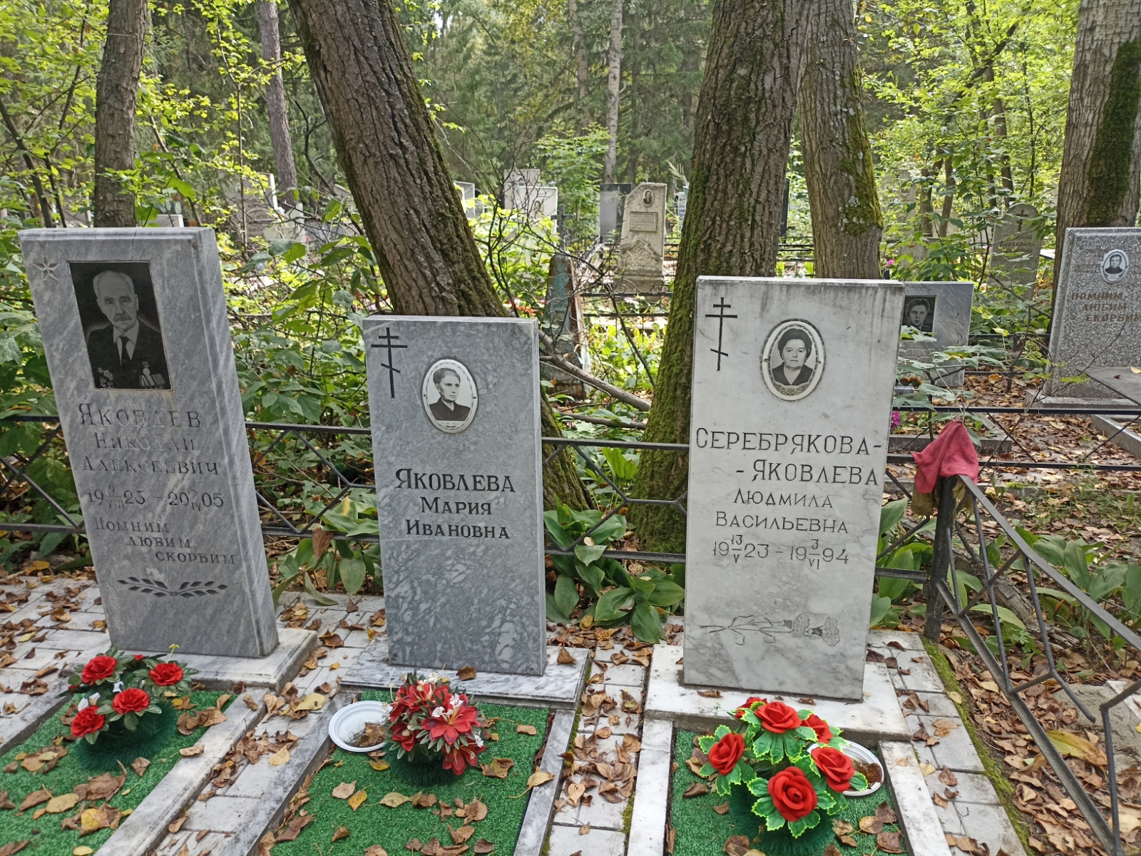 Яковлев Николай Алексеевич