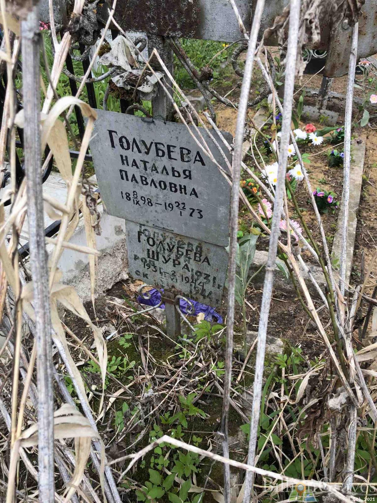 Голубева Наталья Павловна