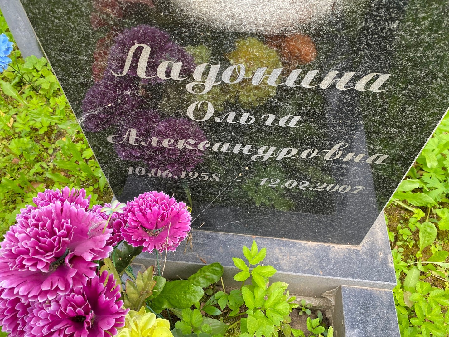 Ладонина