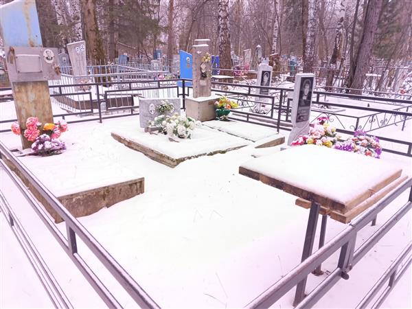 Петриченко Елена Евгеньевна