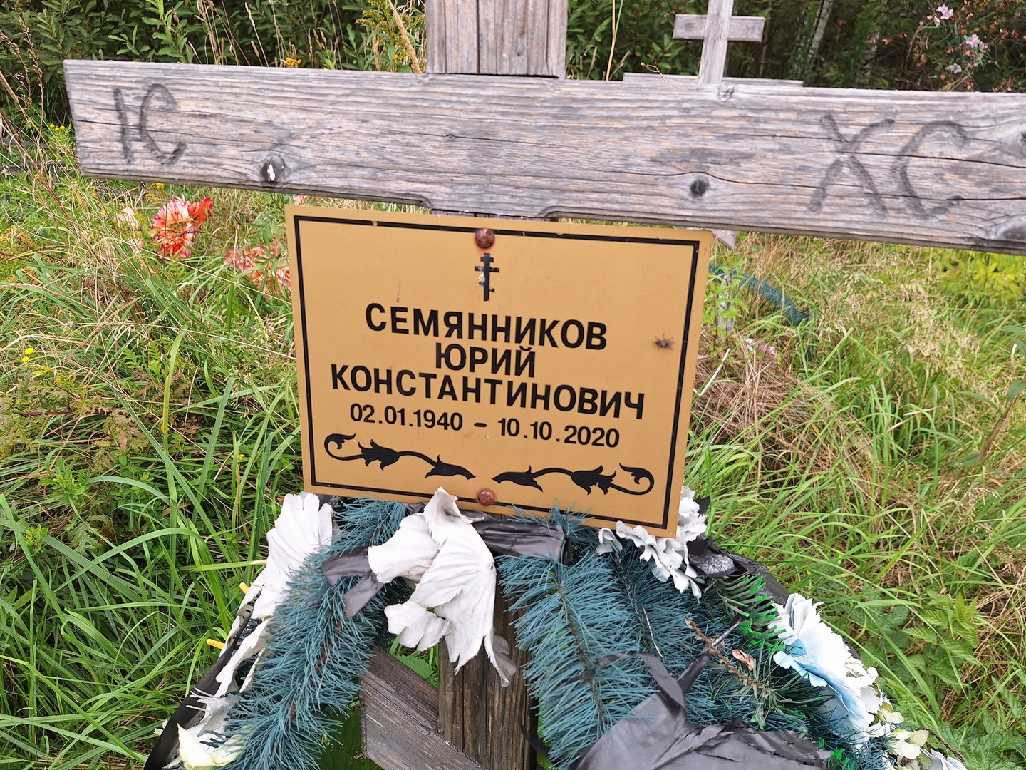 Семянников
