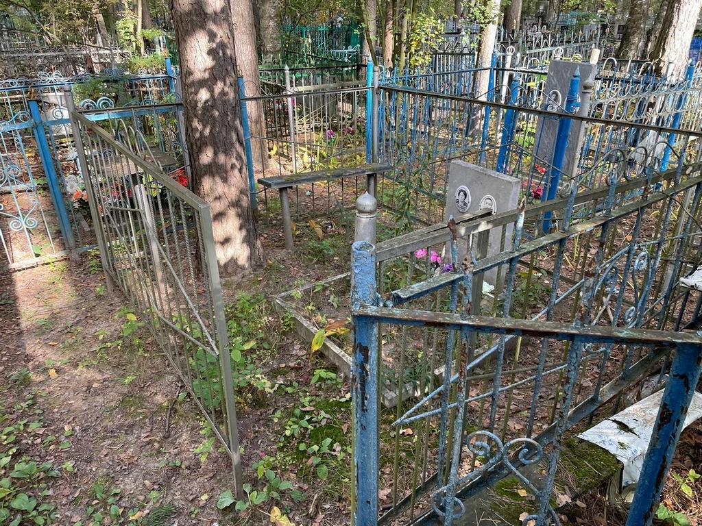 Самарянова Софья Николаевна