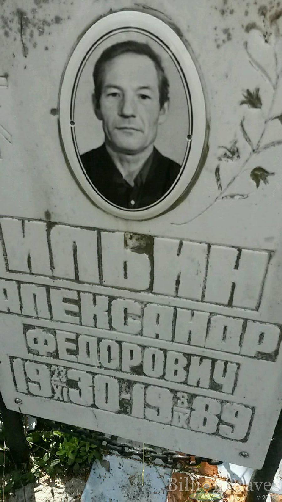 ильина а.м.