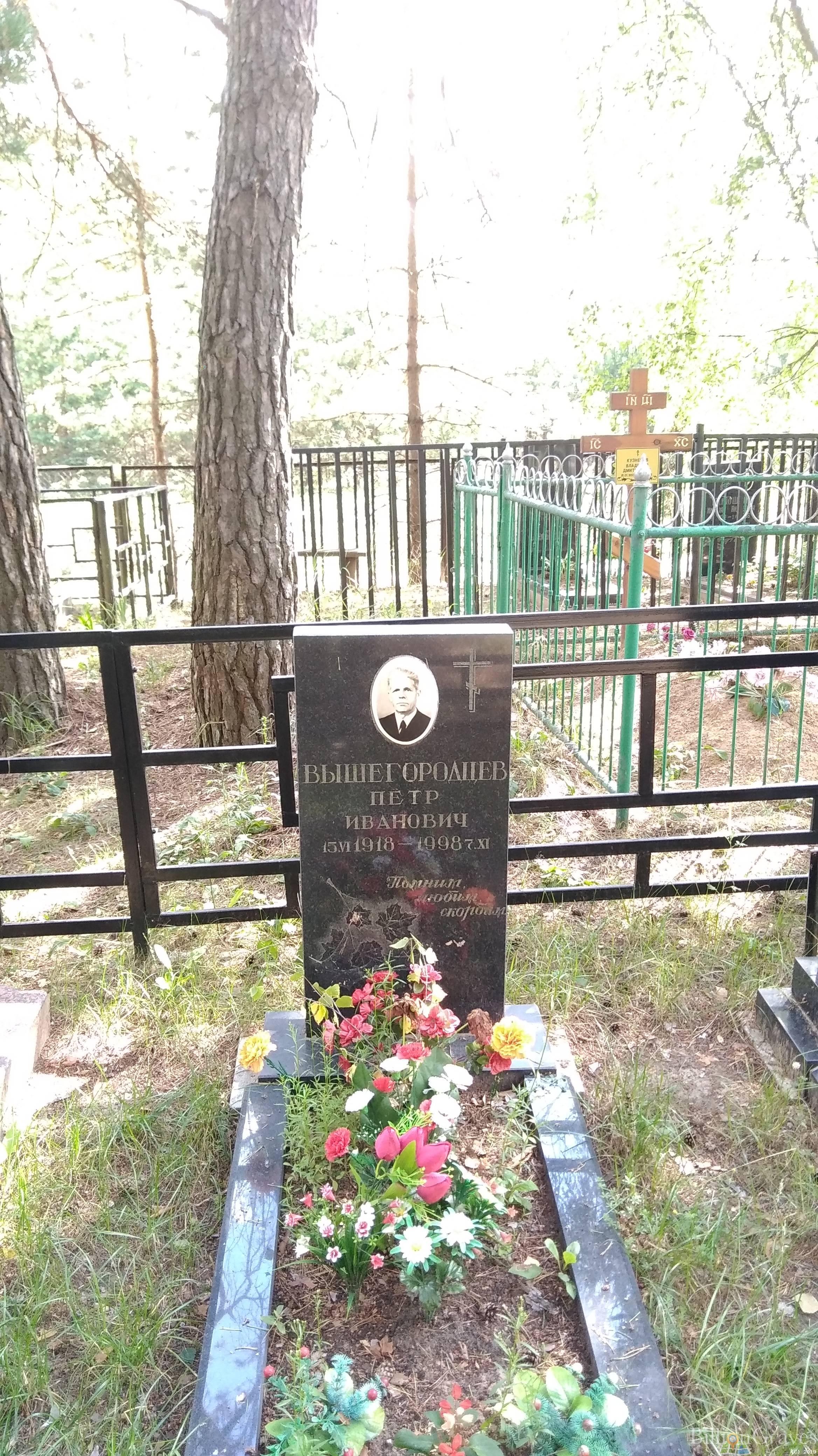 Вышегородцев Петр Иванович