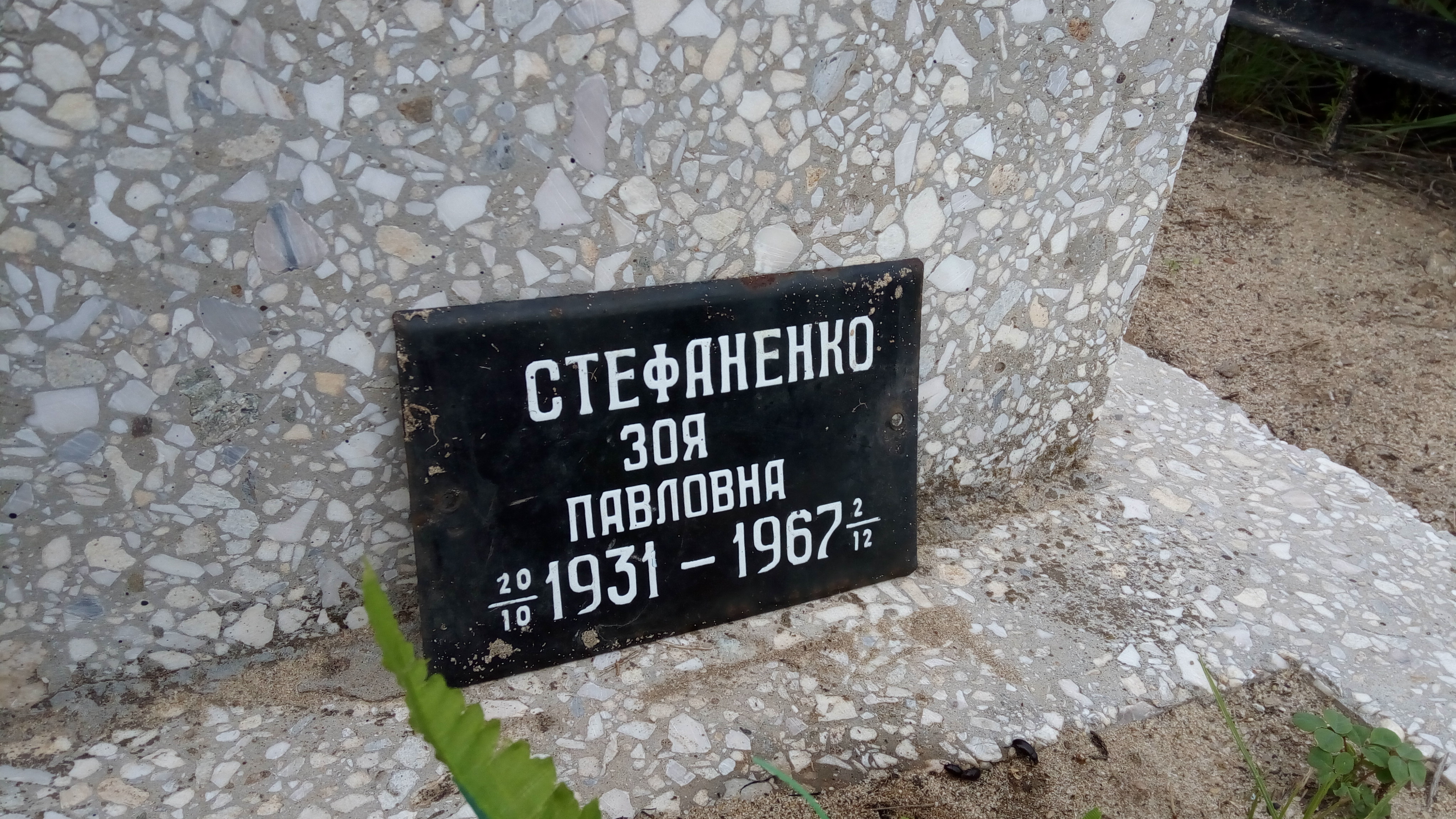 Стефаненко Зоя Павловна