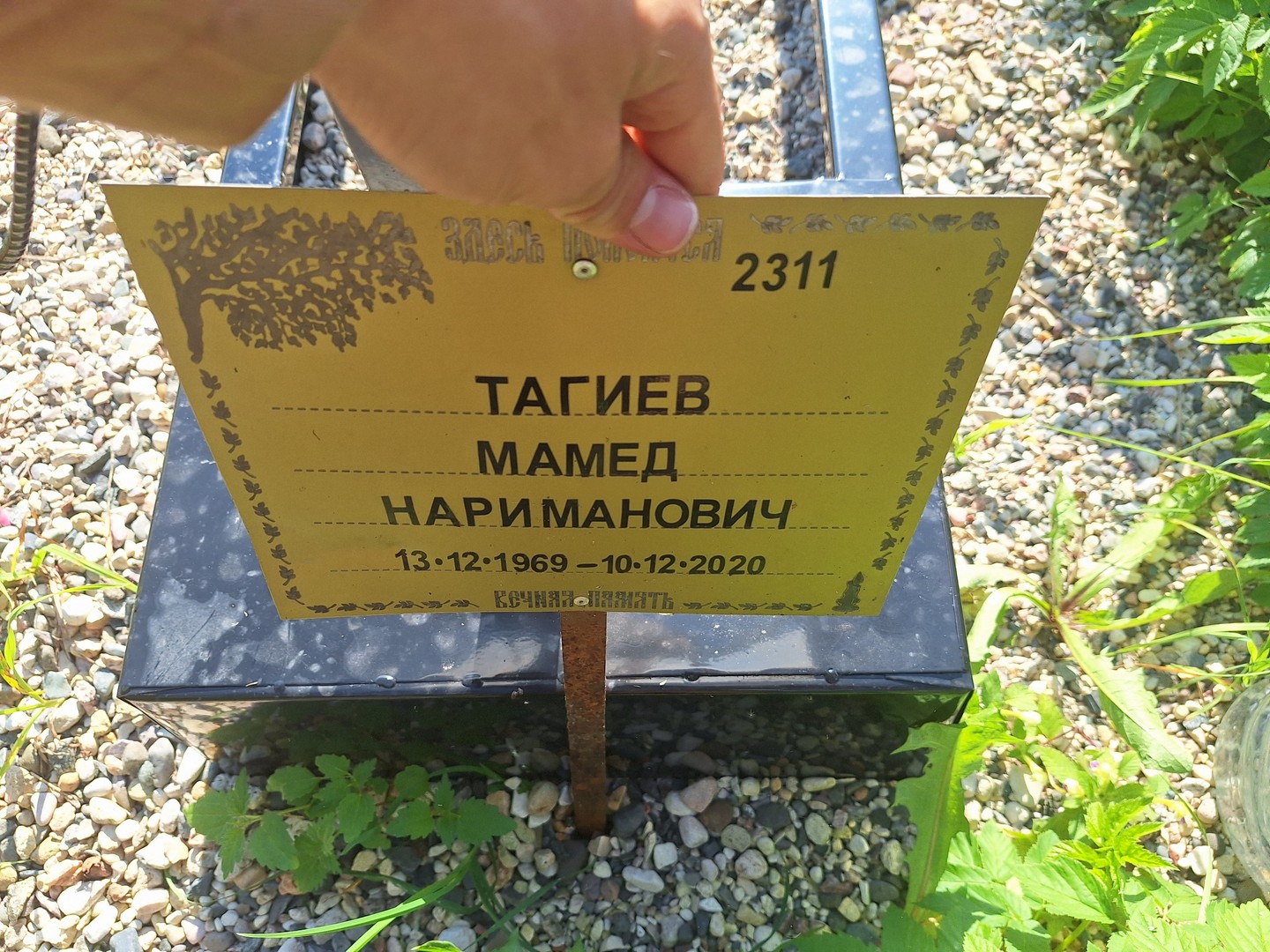Мамед Тагиев Нариманович
