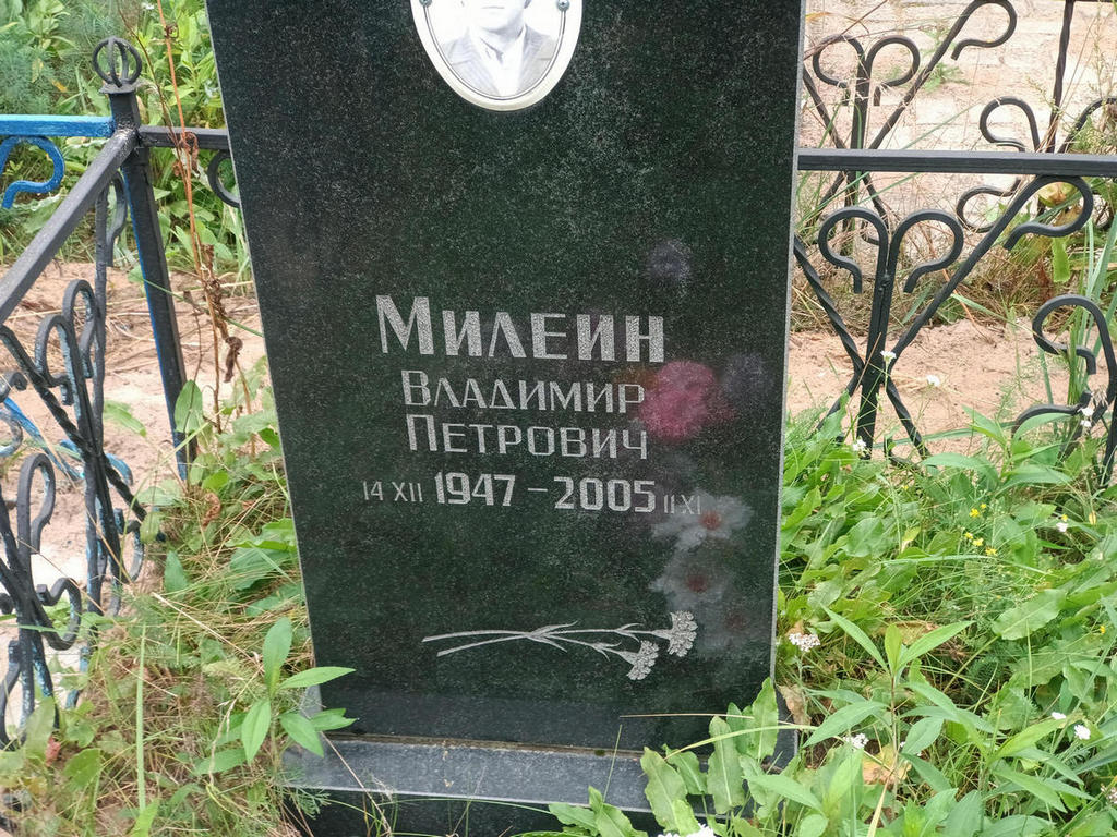 Милеин Владимир Петрович