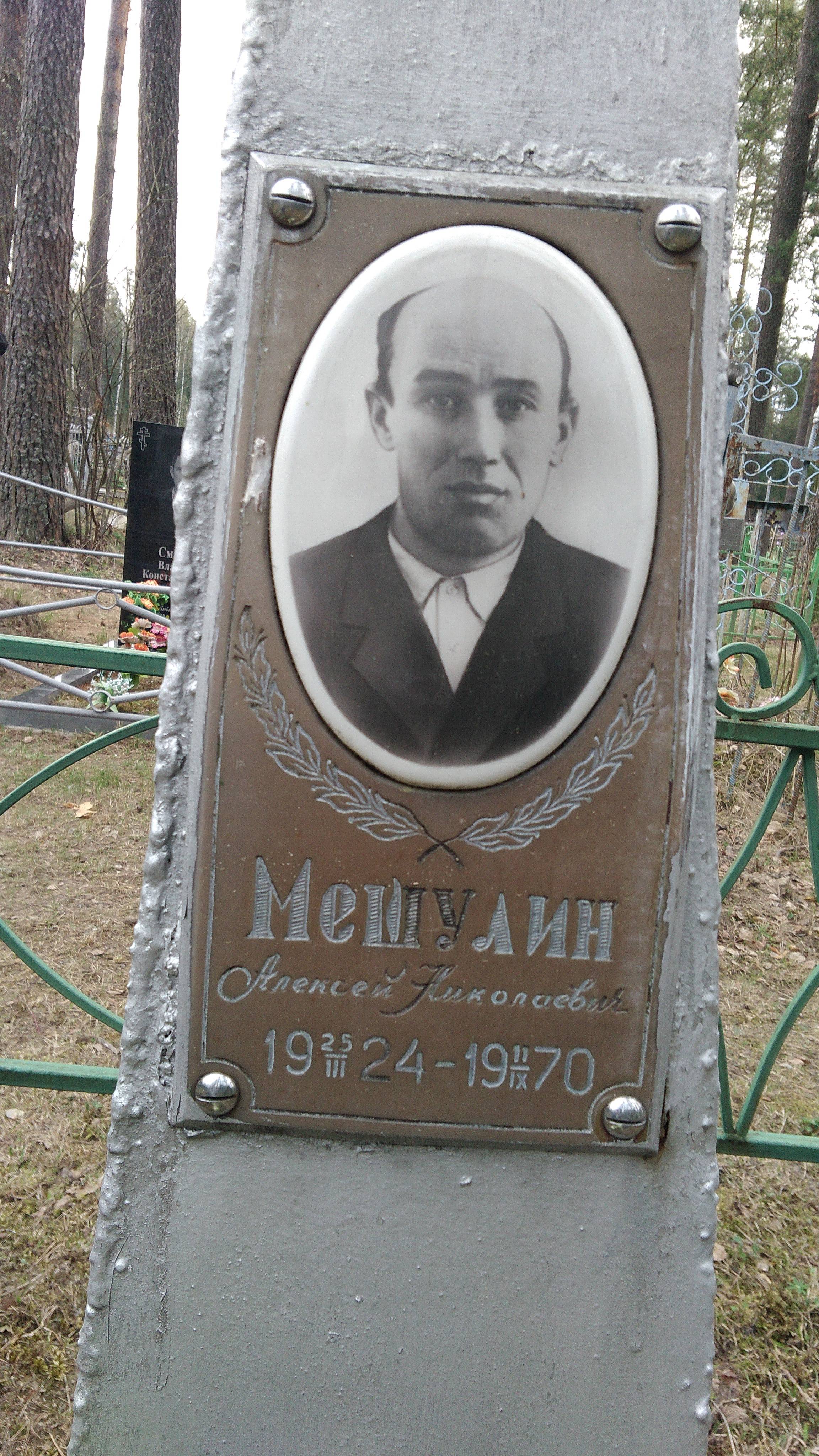 Мешулин Алексей Николаевич