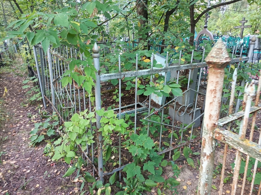 Камышева Александра Ивановна