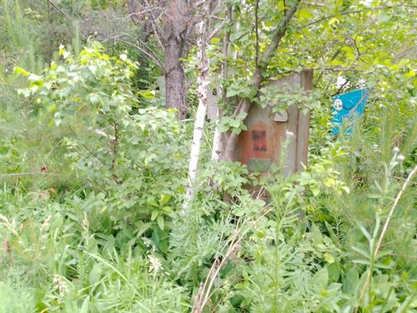 Никифоров Олег Петрович