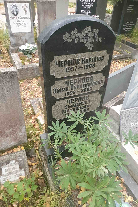 Чернов Кирюша