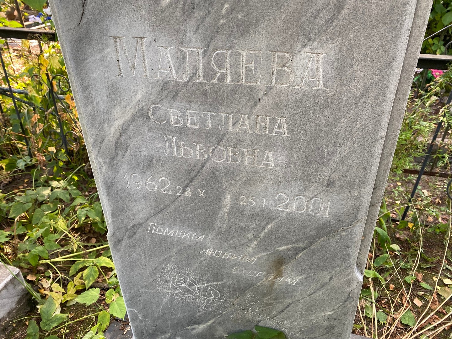 Маляева