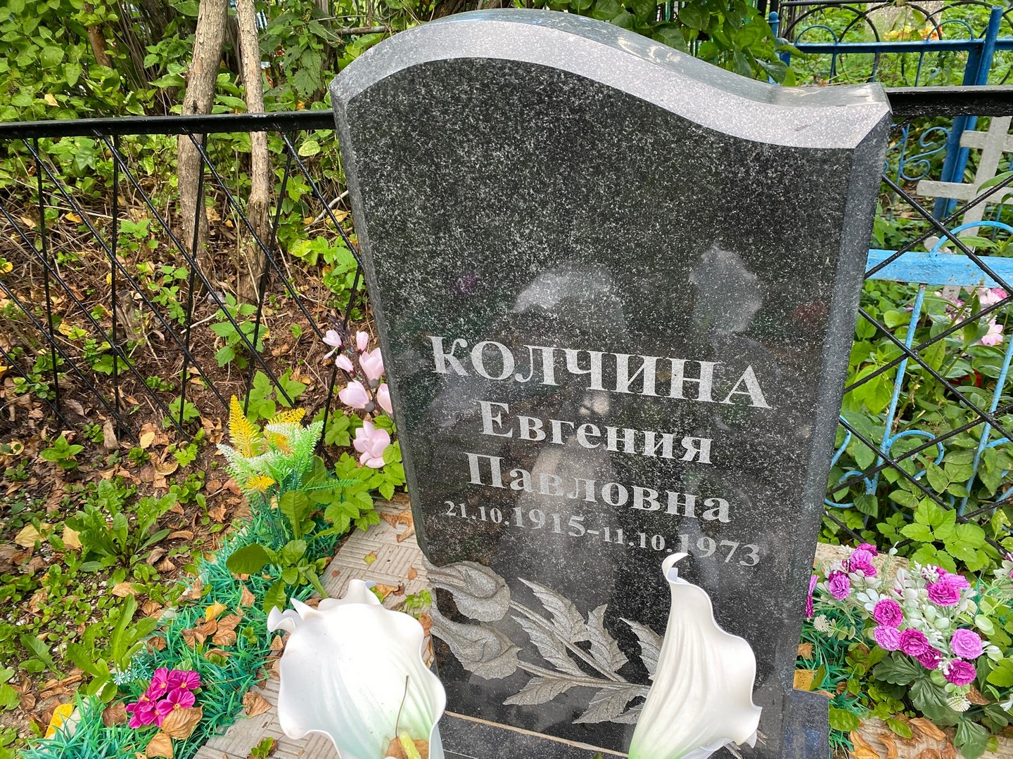 Колчина Евгения Павловна