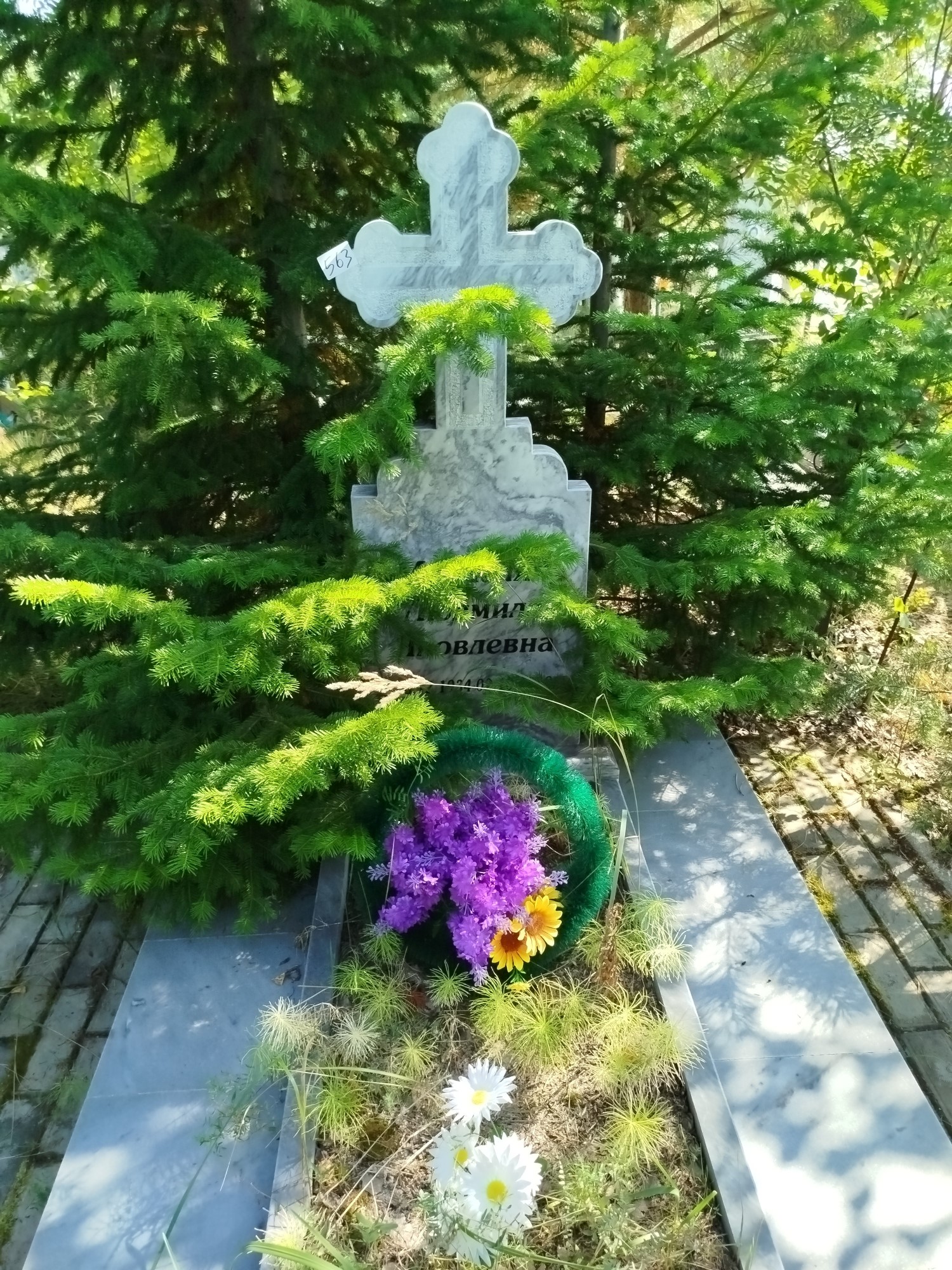 Микаелян Людмила Яковлевна