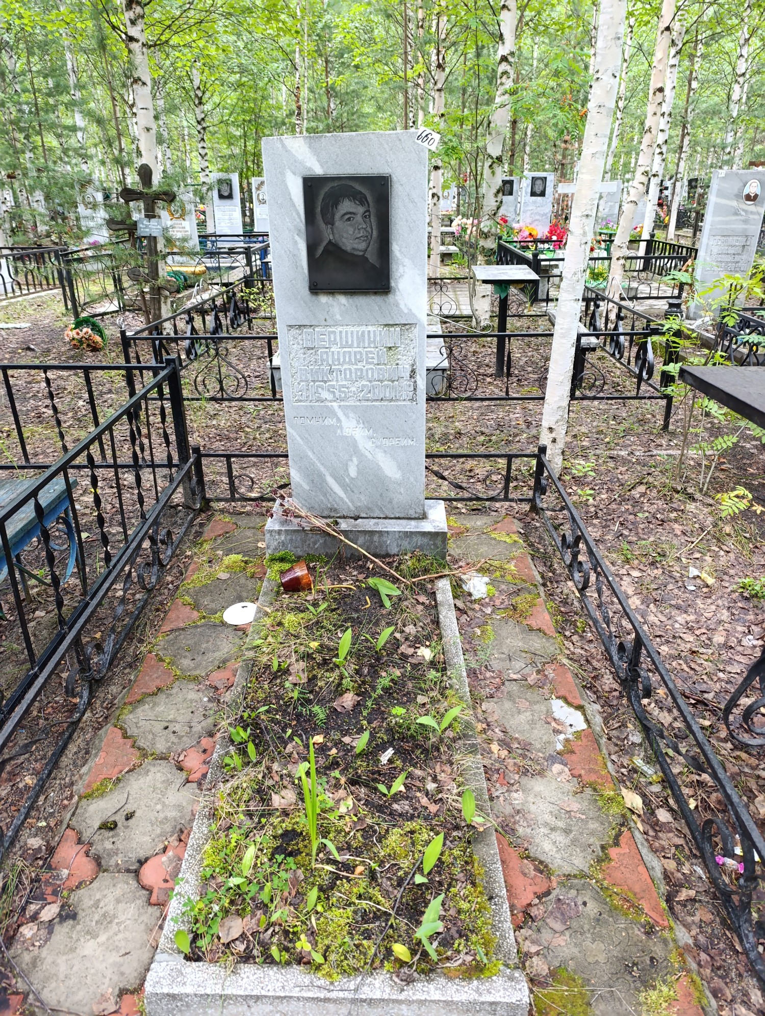 Вершинин Андрей Викторович