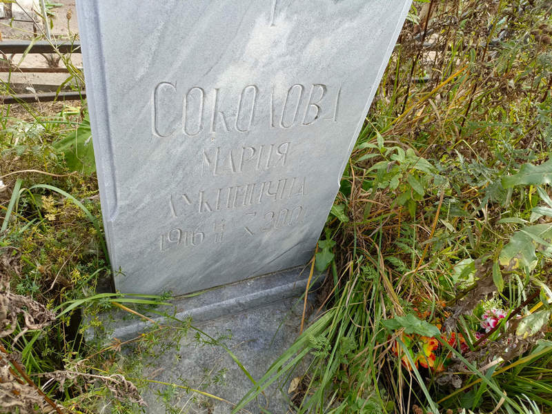 Соколова