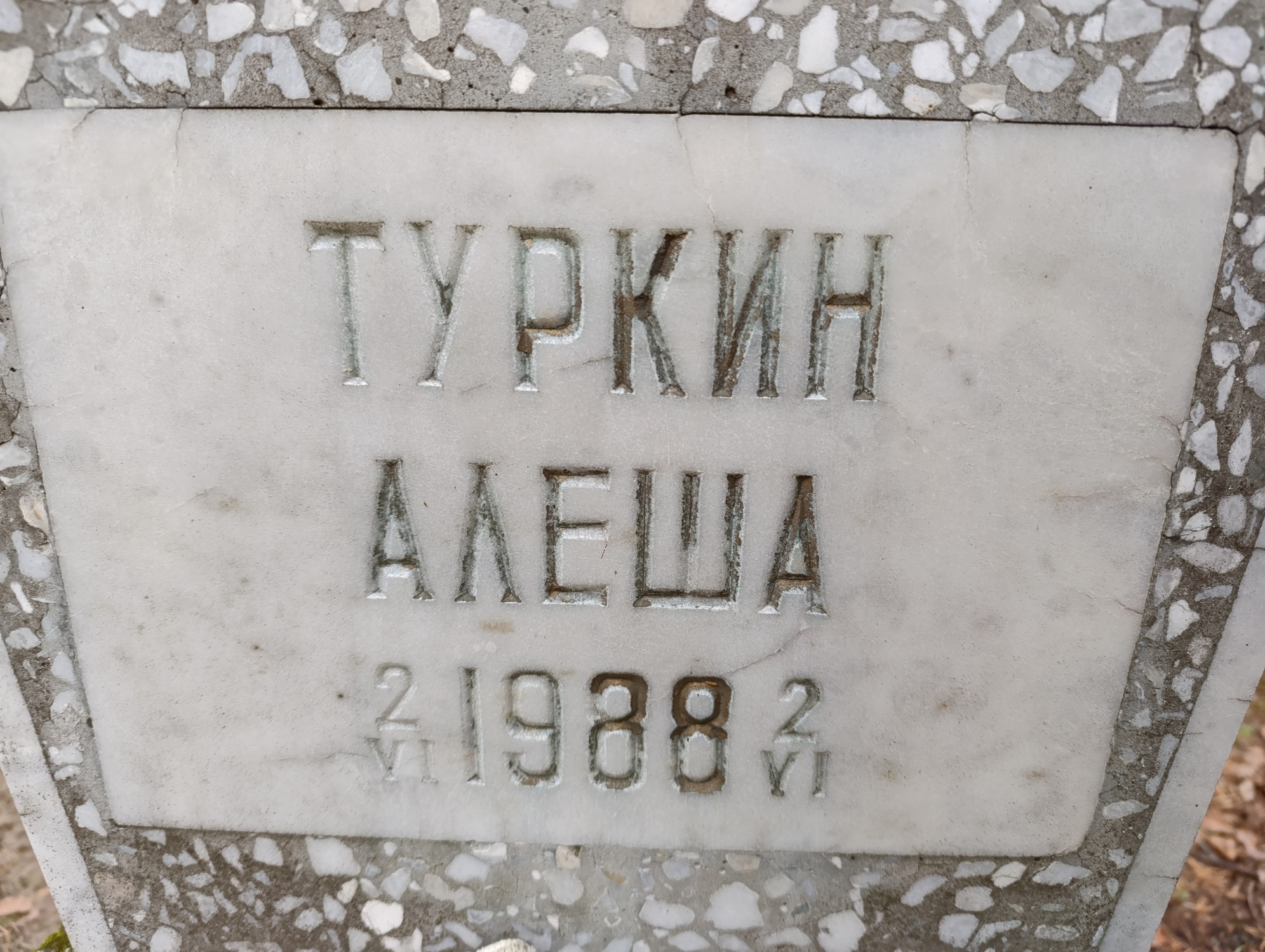Туркин Алеша