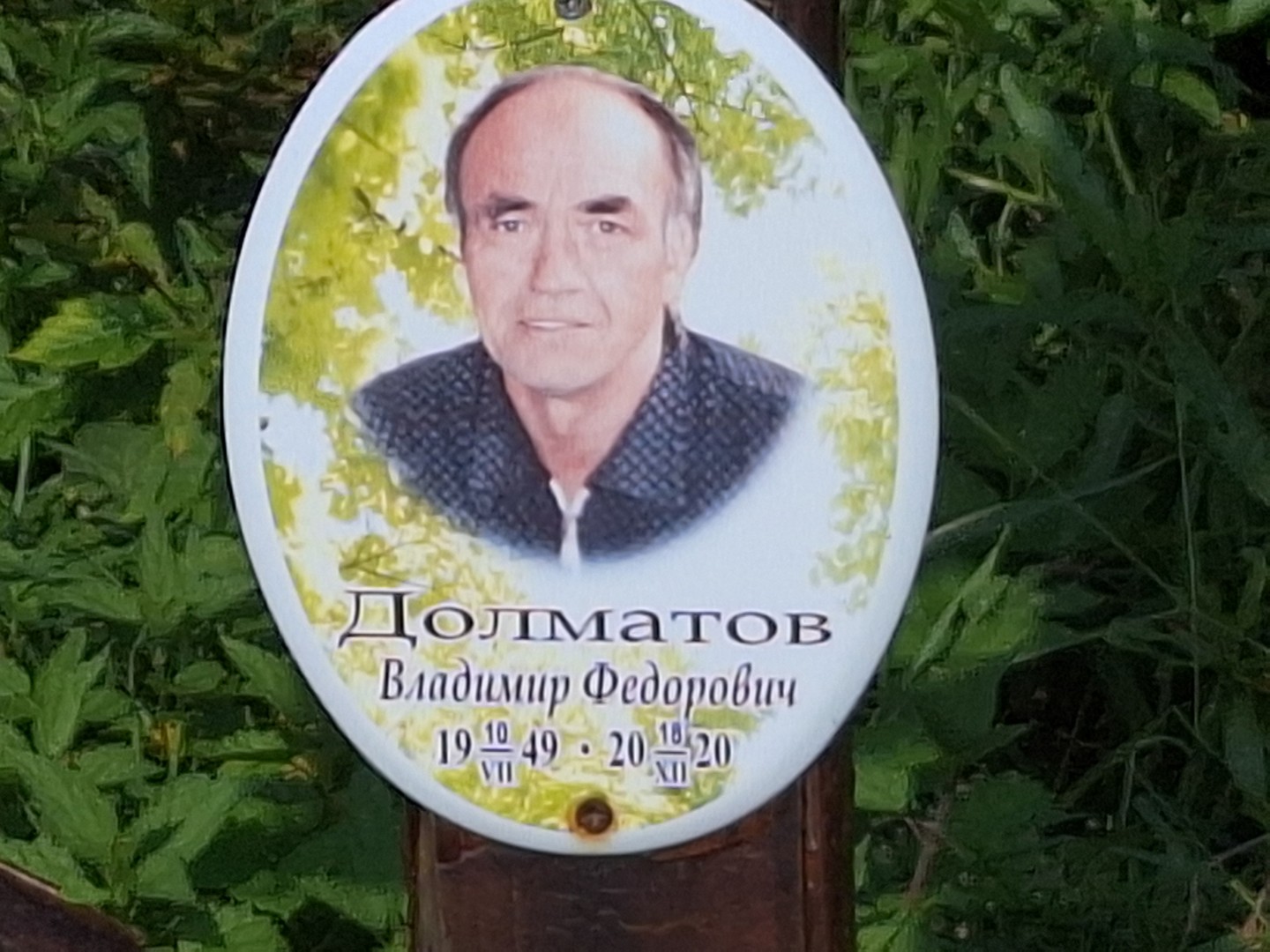 Долматов