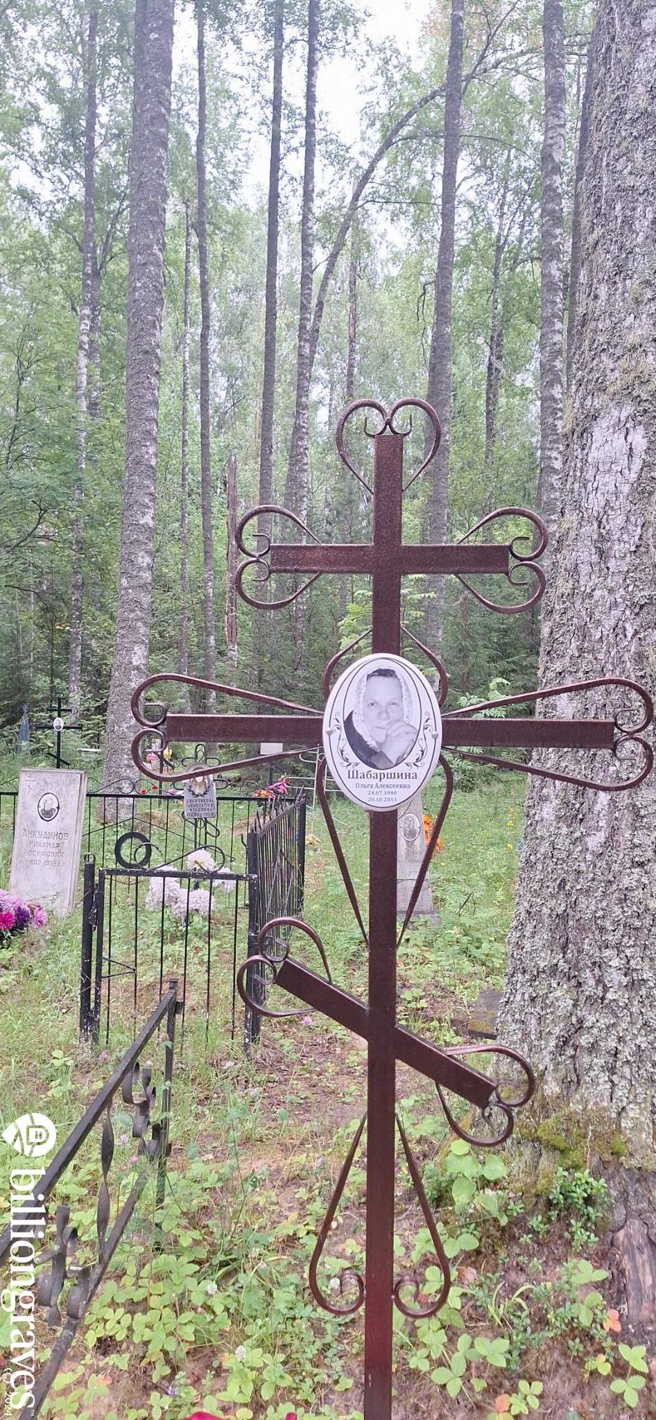 Шабаршина Ольга Алексеевна