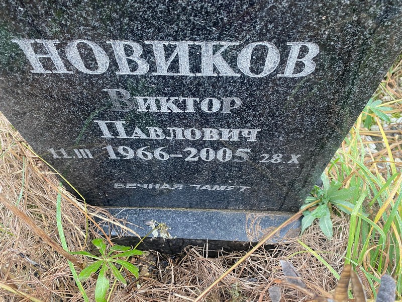 Новиков