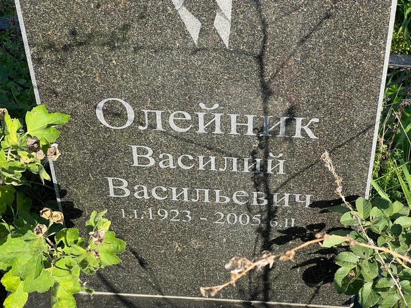 Олейник