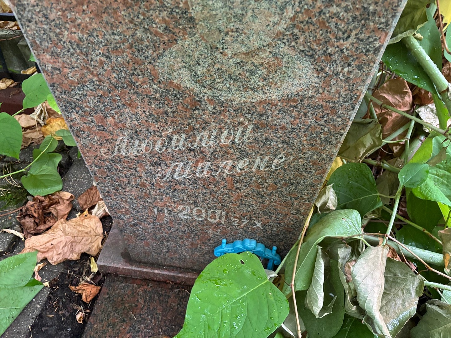 Милана